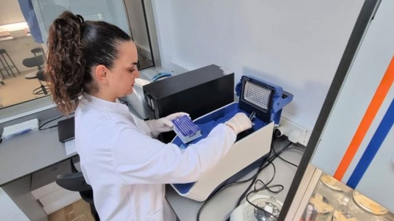 YDÜ ile İstanbul Üniversitesi'nden önemli proje