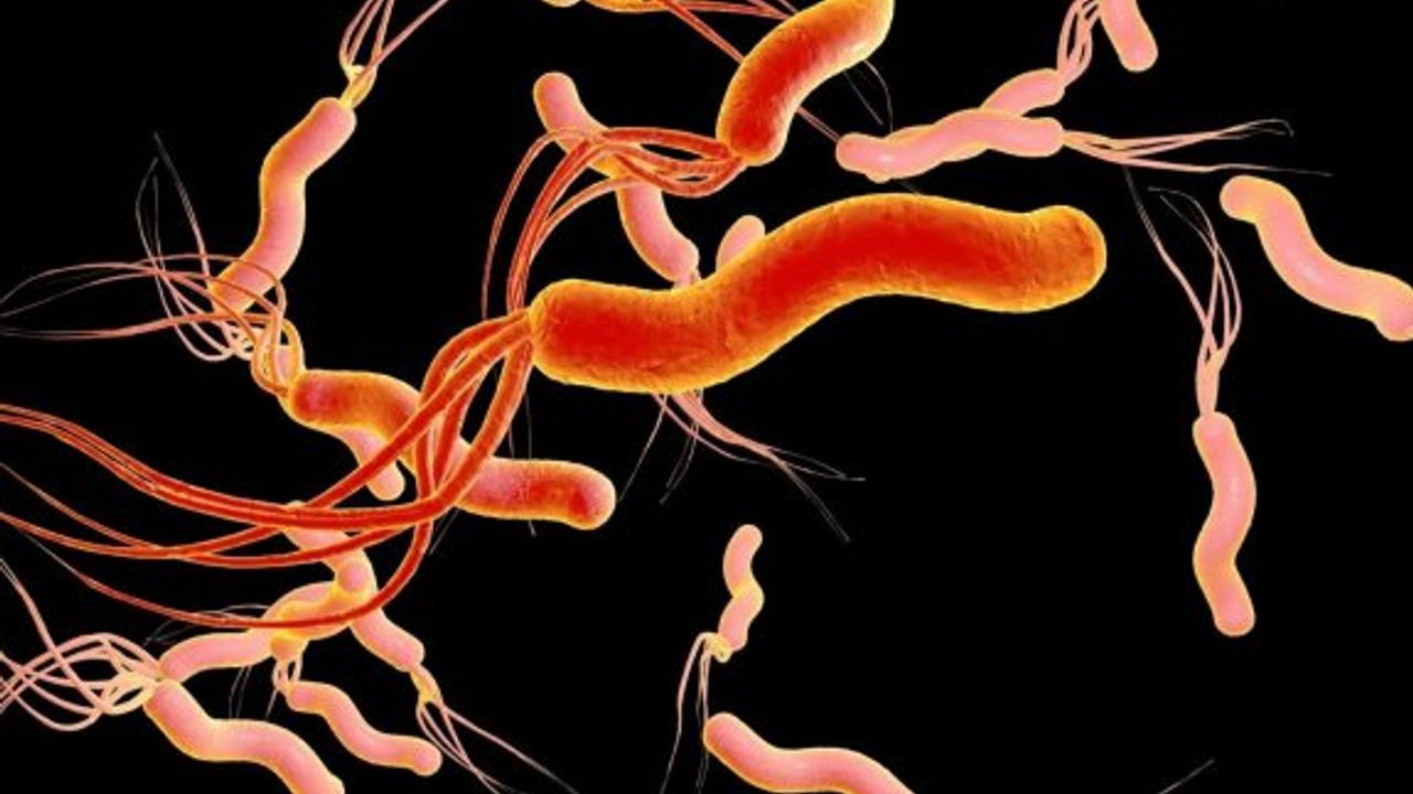 YDÜ’nün mide kanseri tespiti için geliştirdiği biyosensör patentlendi