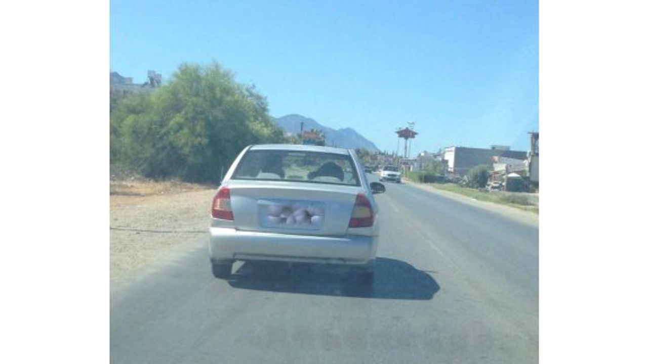 “Bu şekilde 40 yıl daha bir adım ileriye gidemeyiz”