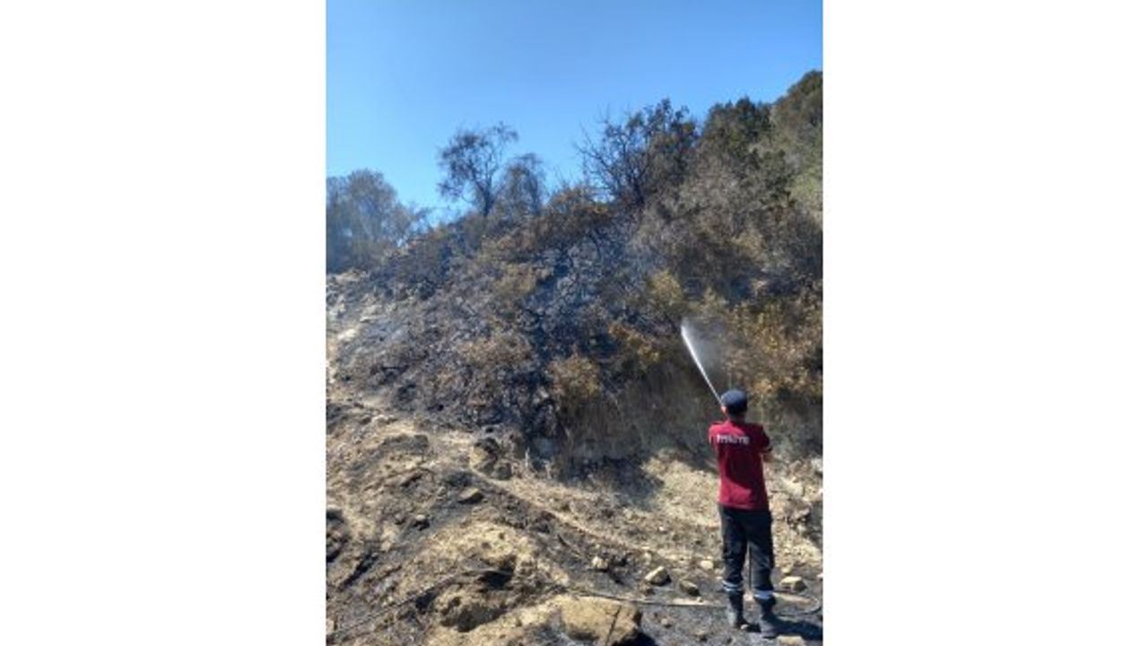 Dipkarpaz - Kaleburnu yolunda çıkan yangın korkuttu