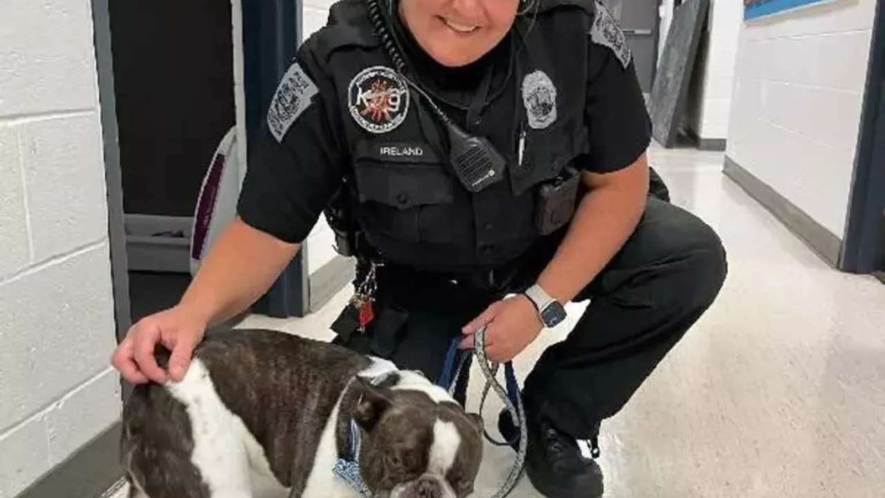 Köpeğini bebek arabasında terk edip uçağa bindi