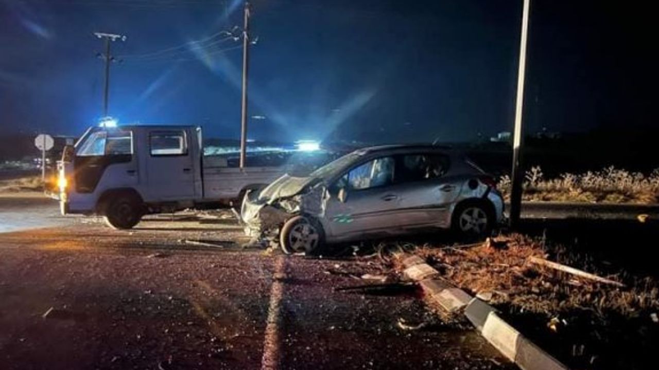 Trafiğe bir genç fidan daha kurban