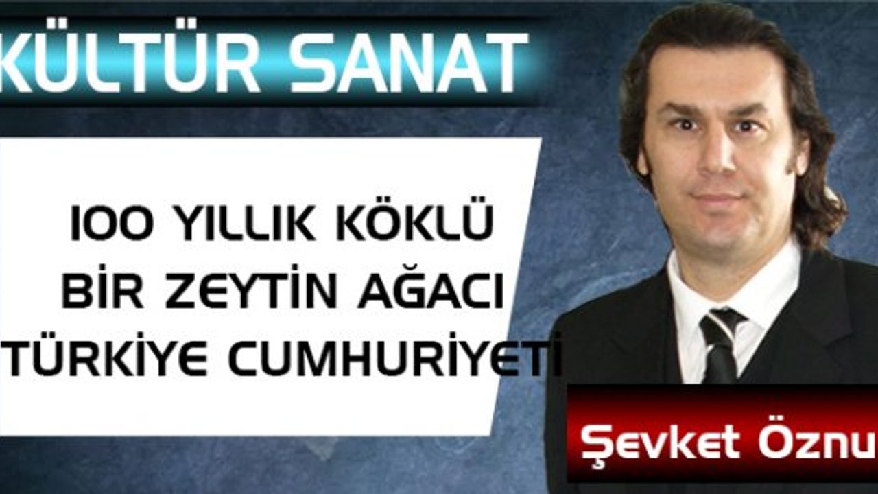 100 YILLIK KÖKLÜ BİR ZEYTİN AĞACI TÜRKİYE CUMHURİYETİ