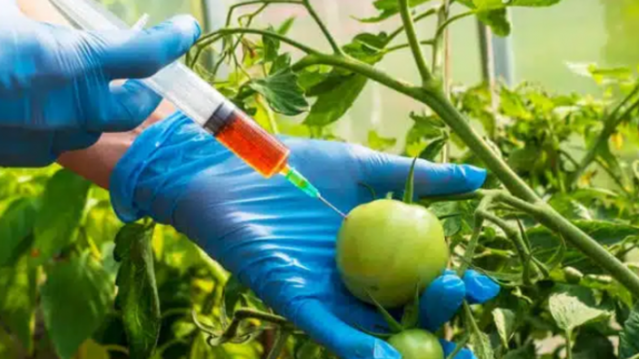 2 ithal, 1 yerli üründe limit üstü bitki koruma ürünü tespit edildi