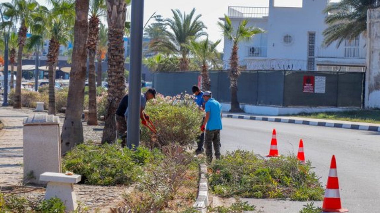 Gazimağusa Laguna bölgesinde budama ve çevre düzenlemesi yapılıyor