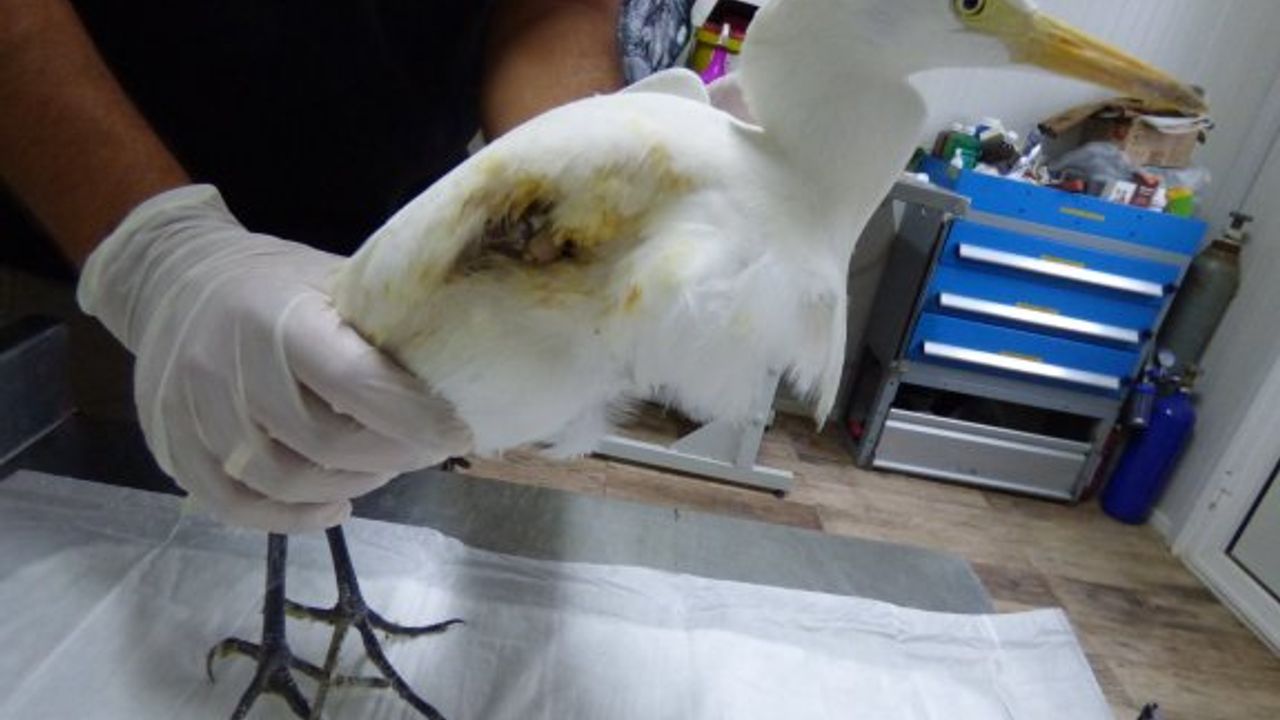 “Her önüne gelene ateş edene avcı denilmez”