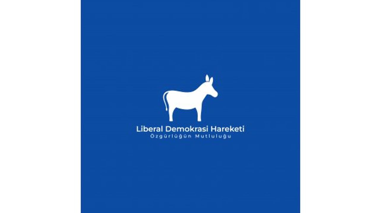 Liberal Demokrasi Hareketi, eğitimdeki eksikliklerin derhal ciddi şekilde ele alınmasını istedi