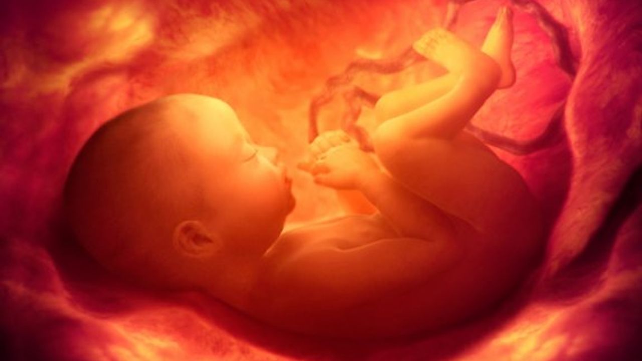 YDÜ'nün anne karnındaki bebeğin gelişim anomalilerini saptayacak tarama testi projesi ilerliyor