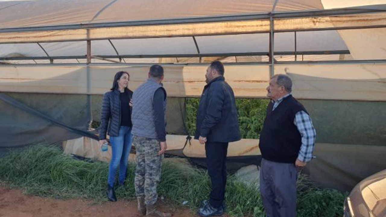 Tarım Bakanı Çavuş, zarar gören seralarda incelemelerde bulundu