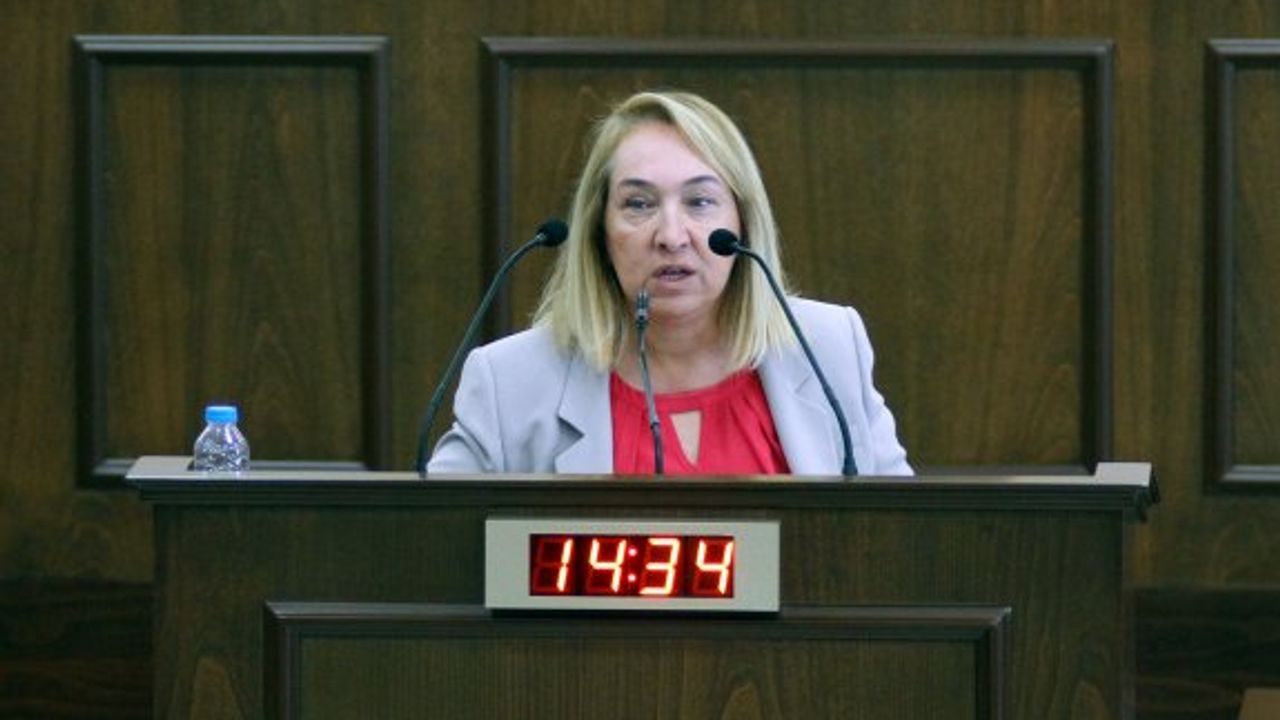 “Arıklı, kan gölünü durdurmak için ne yapıyor?