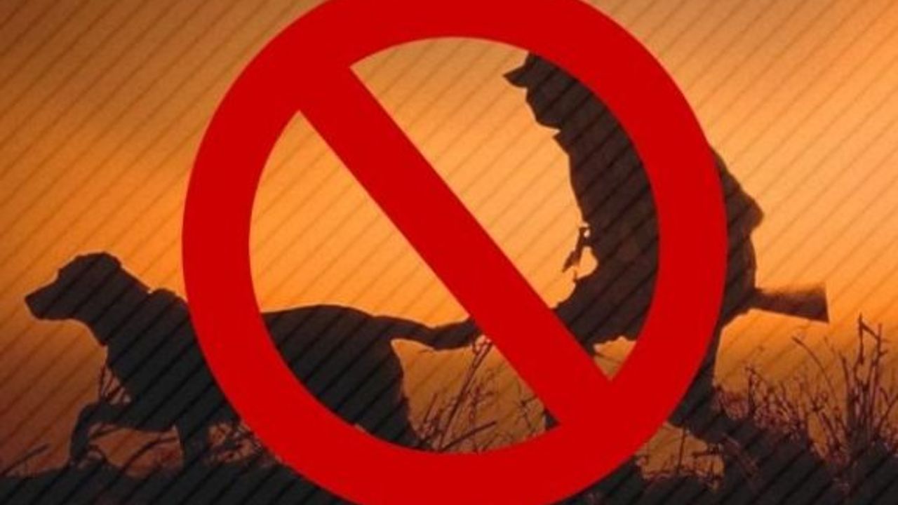 Ava kapalı bölgede avlanan kişiye para cezası kesildi
