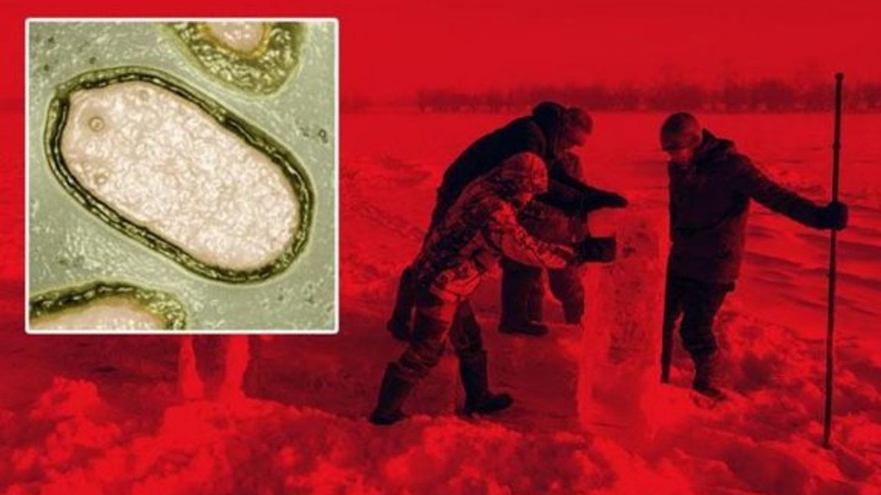 Çok daha ölümcül yeni salgın tehdidi: Zombi virüs!