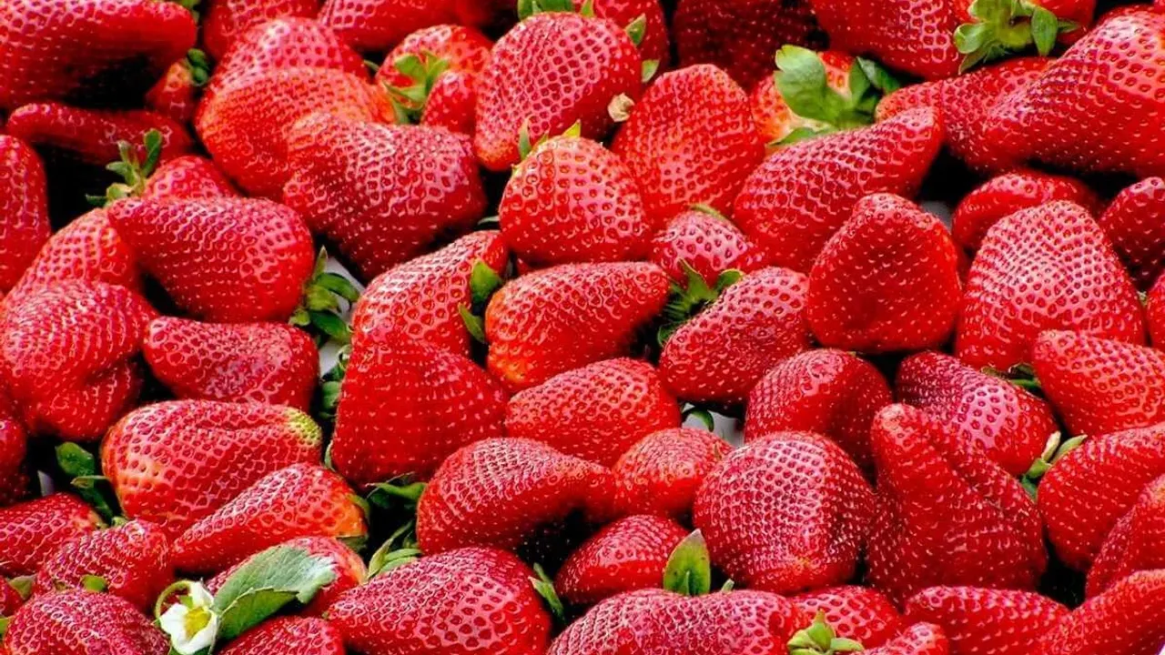 Çilek, armut ve elmada limit üstü bitki koruma