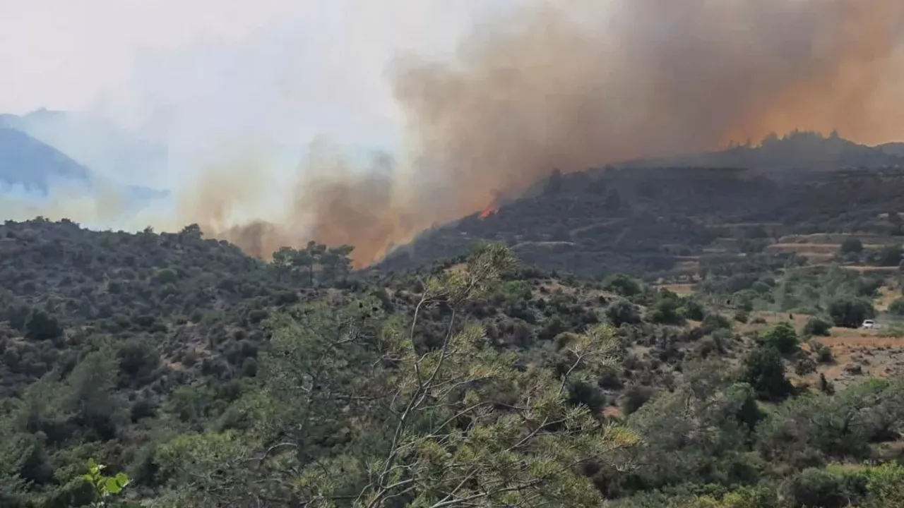 Limasol’da devlet ormanında büyük yangın