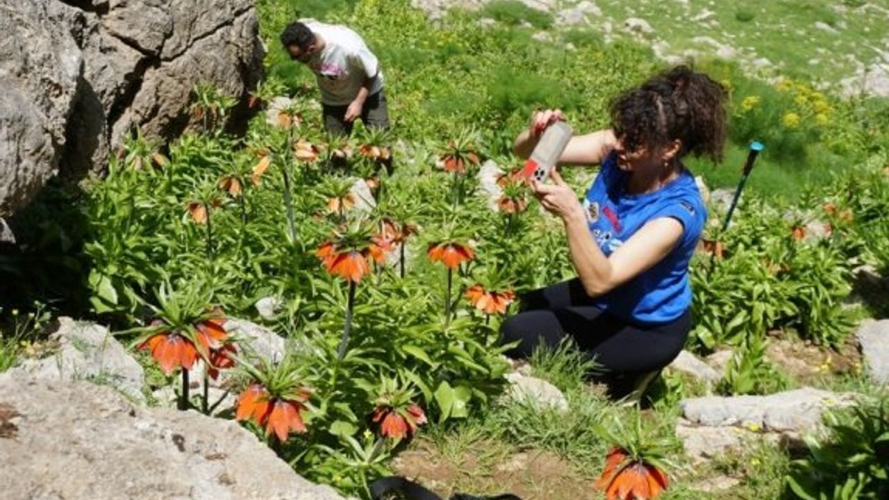 20 günlük ömrü olan çiçeği görmek için yedi kilometre yol yürüdüler