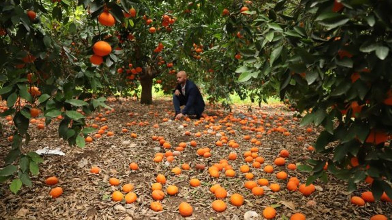 Gulamkadir: “Üretimi geliştirmeye kararlıyız”