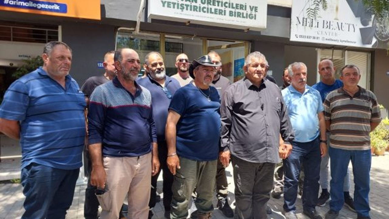 Hayvan üreticileri gelecek hafta pazartesi Lefkoşa’da süresiz araçlı eylem başlatacak