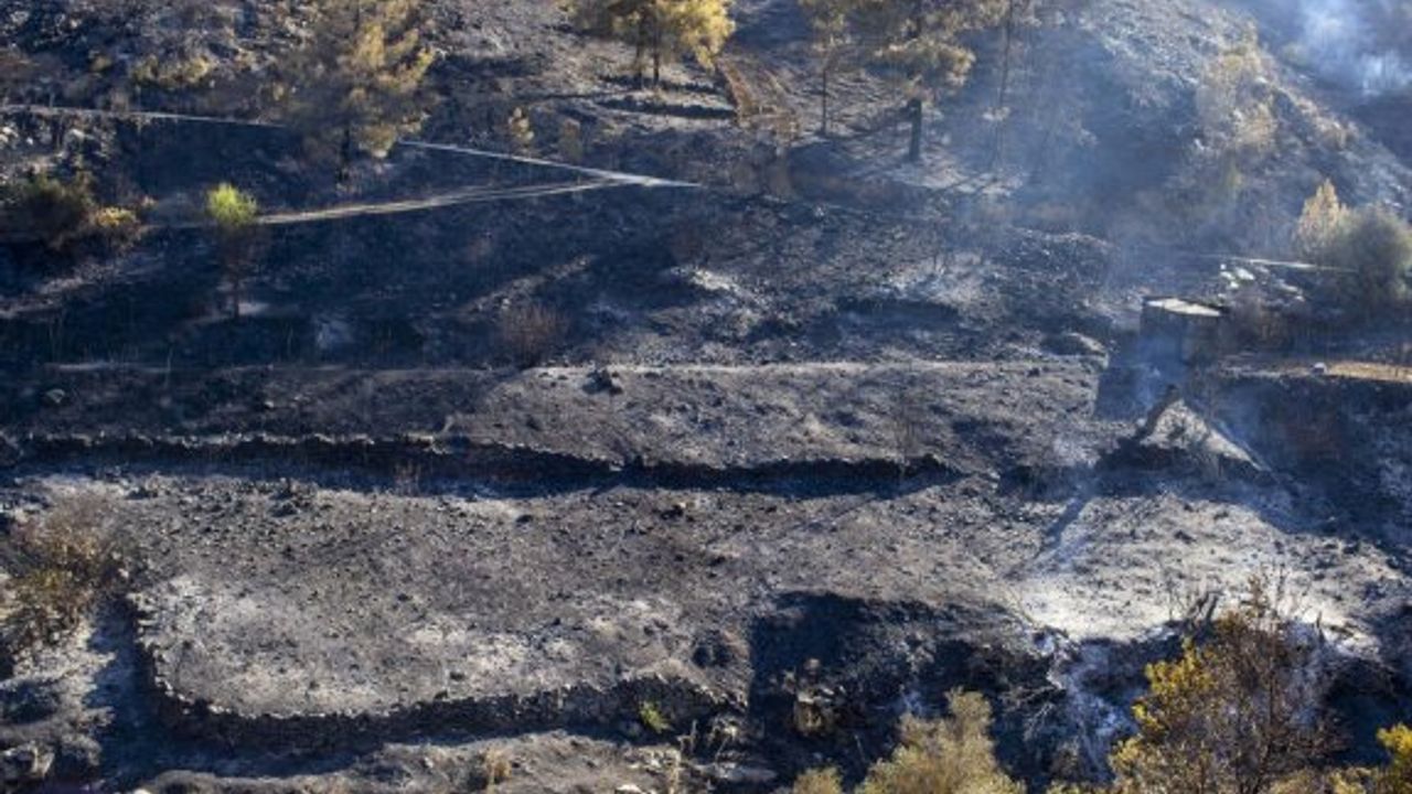 Güney Lefkoşa'daki yangında 3,2 kilometrekarelik alan yandı