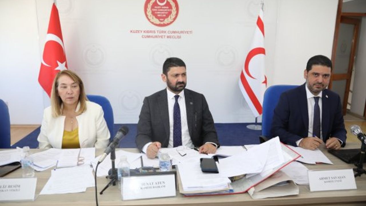 İdari, Kamu ve Sağlık İşleri Komitesi toplandı