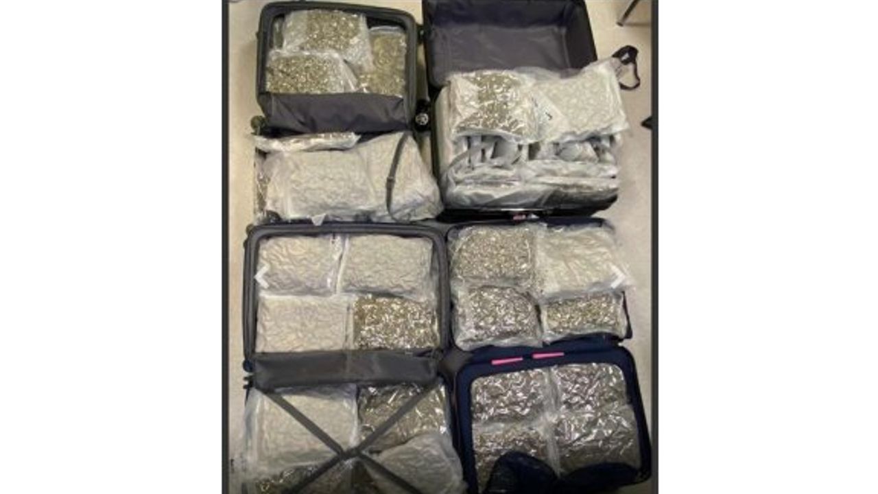 Larnaka Havalimanı'nda 41 kilo hintkeneviri ele geçirildi