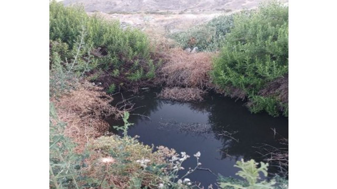 Lefke Çevre ve Ekoloji Derneği: “Gemikonağı’nda açık foseptik çukuru tehlike yaratıyor”