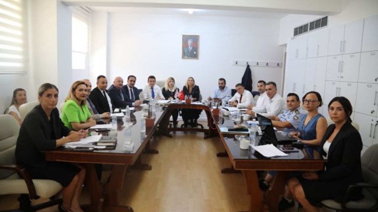 Yabancılar ve Muhaceret (Değişiklik) Yasa Tasarısı komitede onaylandı