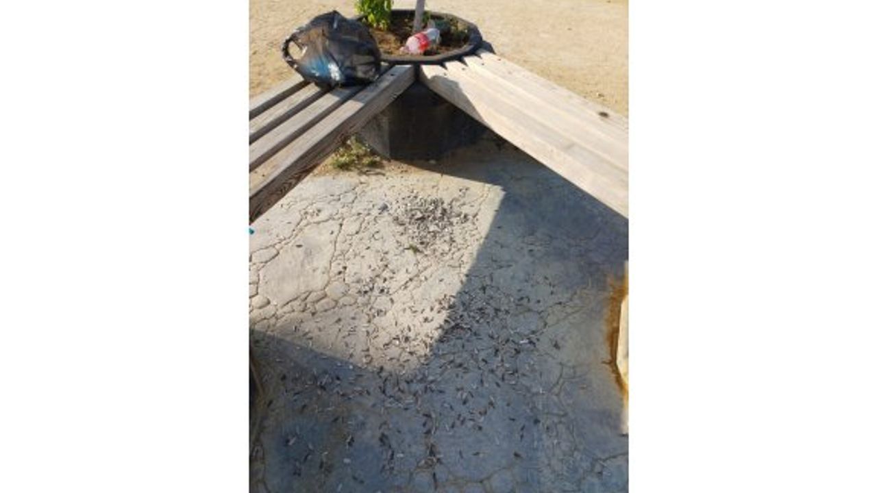 Kızılbaş Parkı'nın içler acısı hali