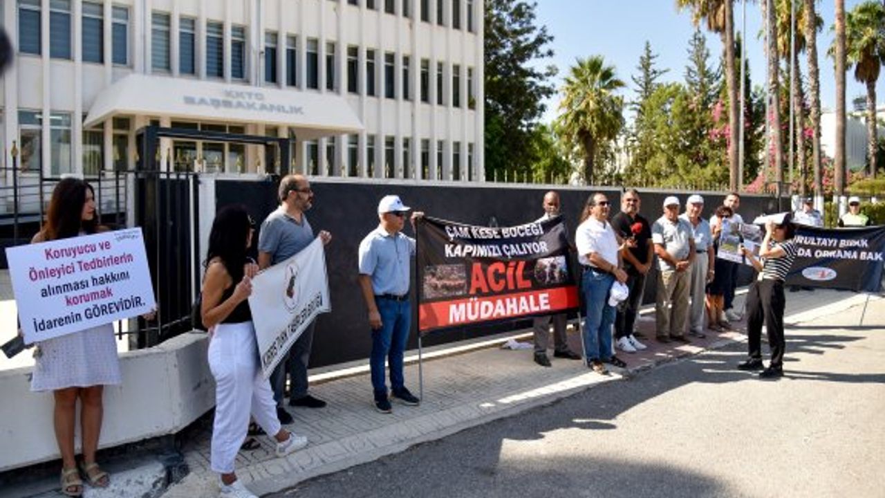 “Kurultayı bırak, biraz da ormana bak”