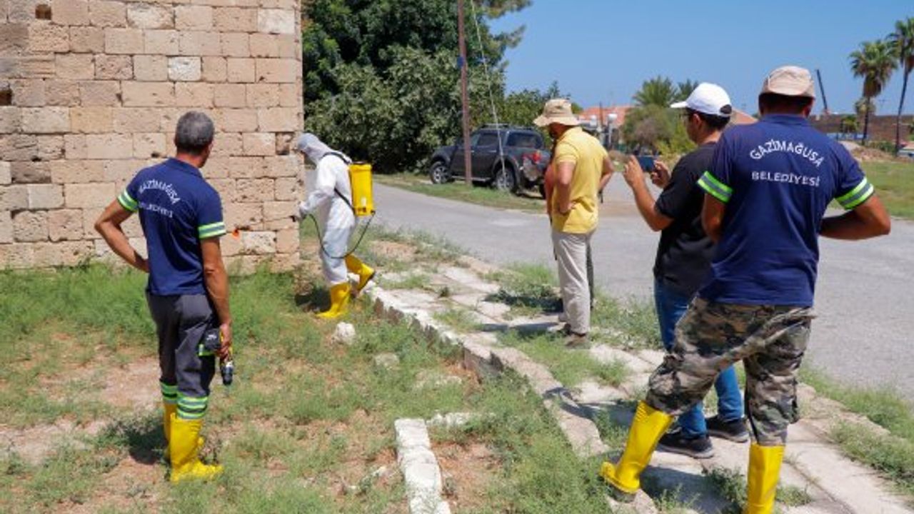 UNDP’den Gazimağusa Belediyesi’ne tarihi yapılardakİ otların temizlİği için eğitim