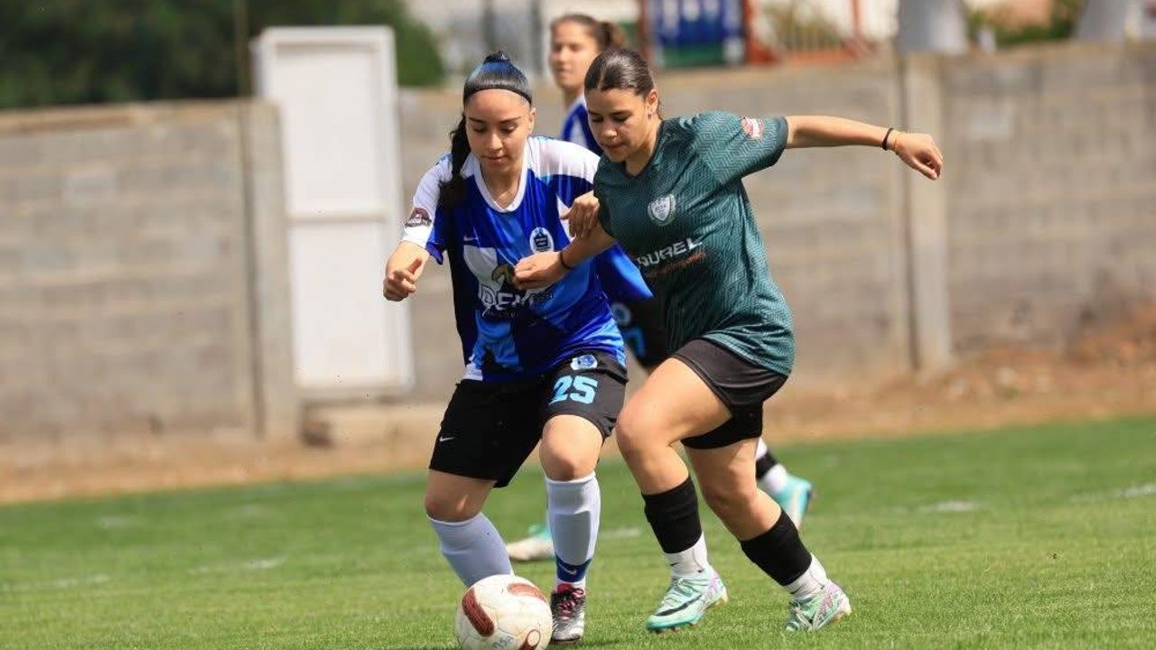 Kadınlar Ligi için başvurular başladı