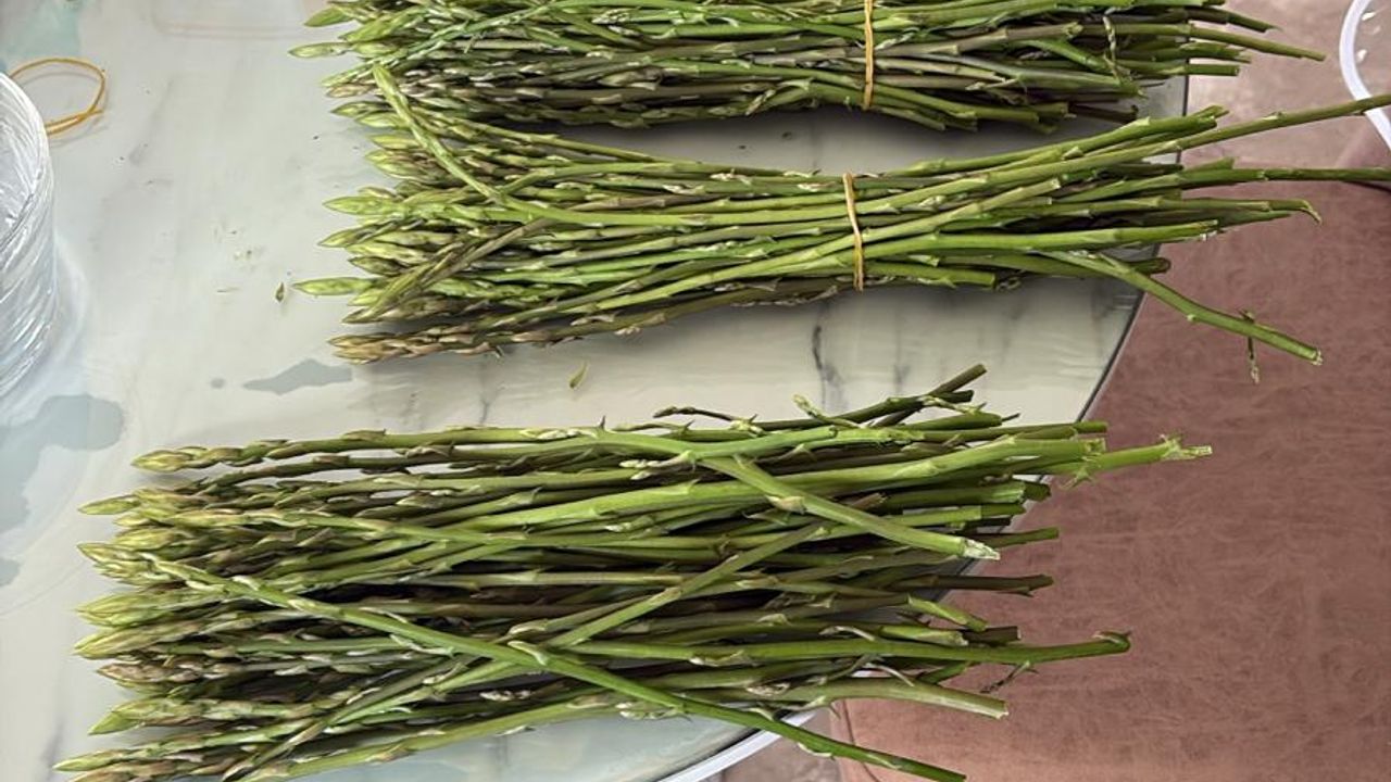 “Altın mı yoksa Ayrelli mi alacağız?”