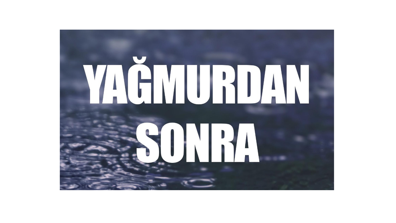 Serkan Soyalan’ın “Yağmurdan Sonra” şiir kitabı yayımlandı