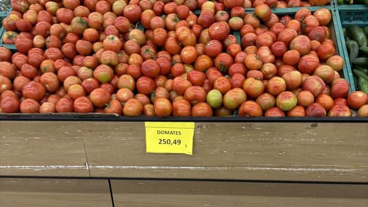 “Domates mi yoksa altın mı?”