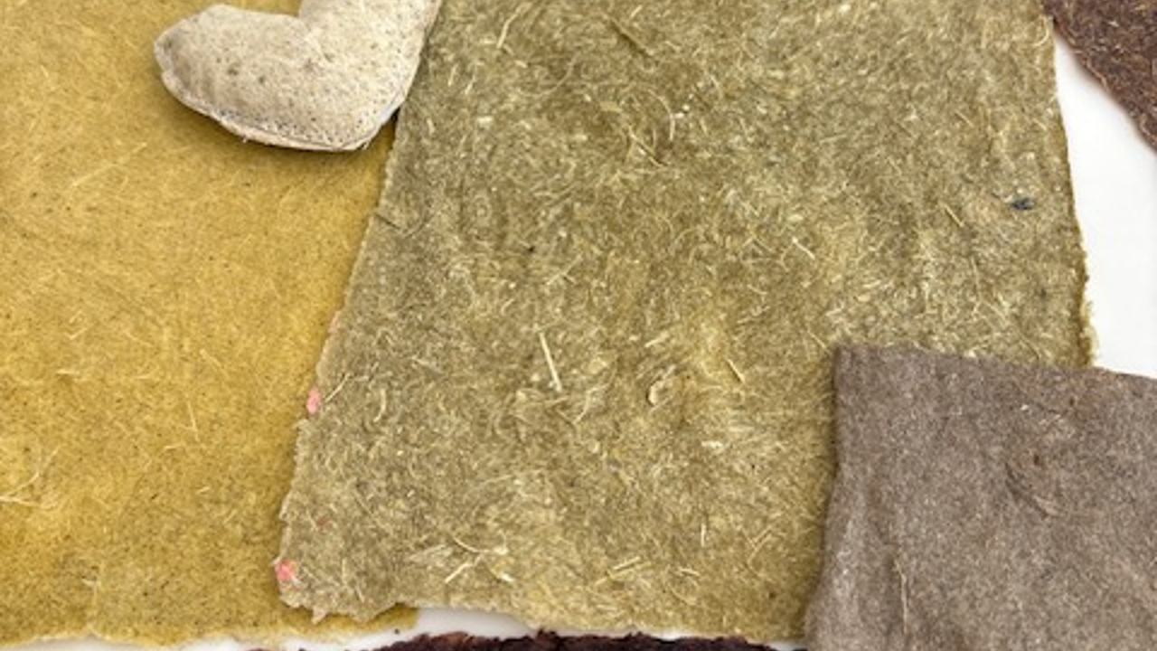 Kıbrıslı sanatçı Sanıvar, esnek formda bir kâğıt geliştirdi