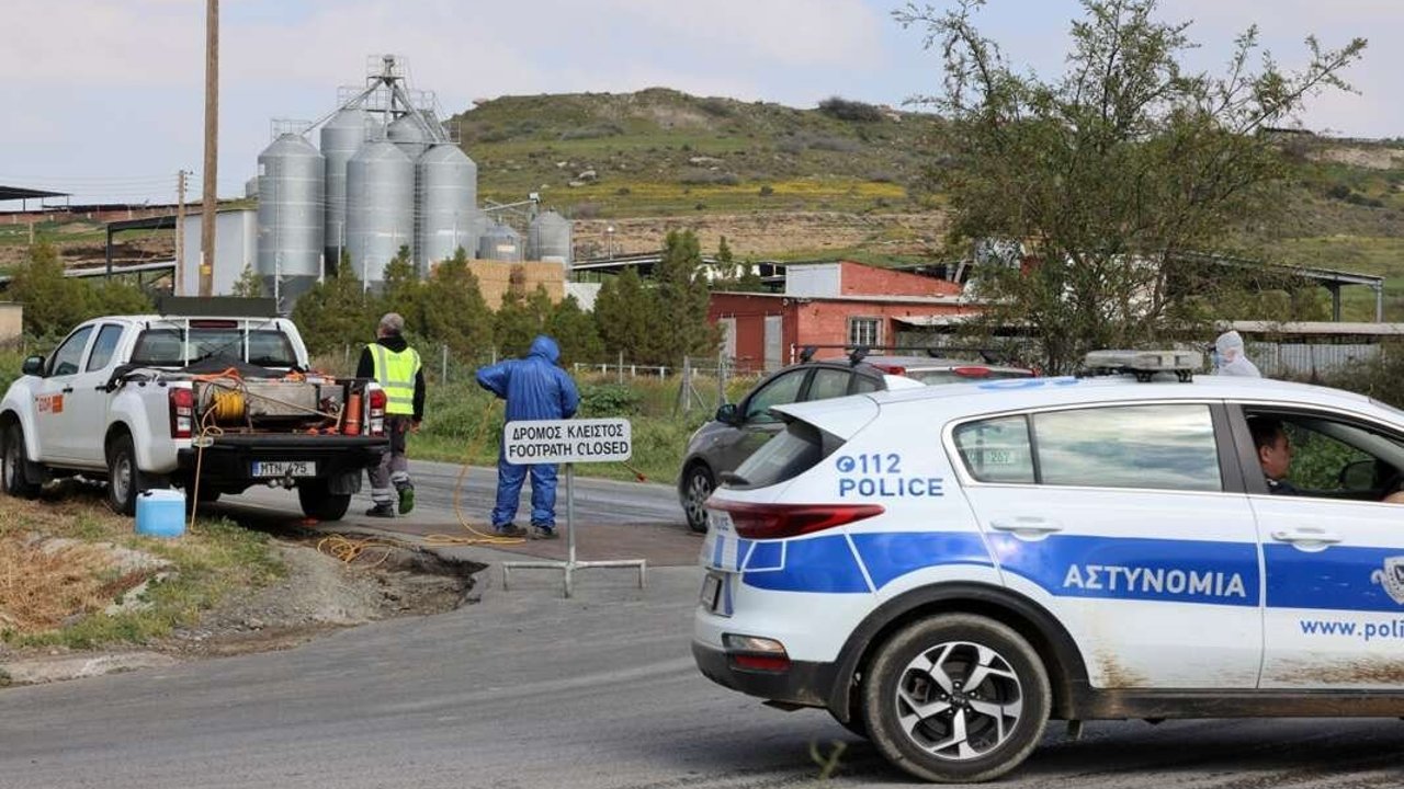 Güney Kıbrıs’ta Hayvan Partisi’nden şap krizinde şeffaflık çağrısı