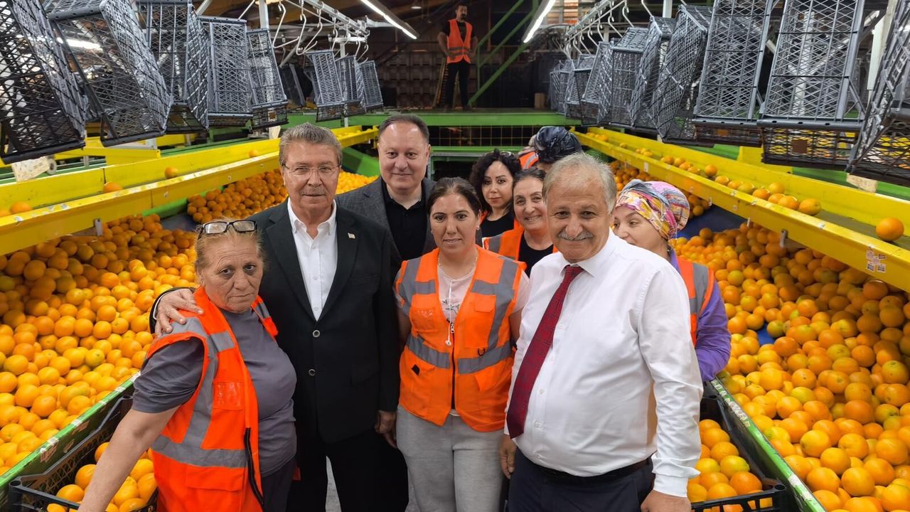 Üstel: “Soğuk hava deposu tesisi bölgeye kazandırılan en büyük yatırımlardan biridir”