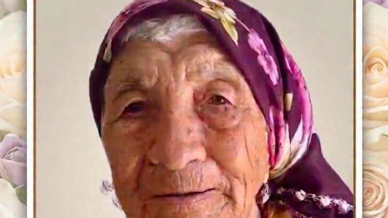 Lapta, asırlık çınarını kaybetti