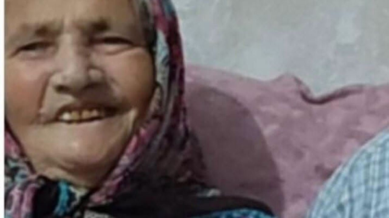 Türüt ailesi çınarına ağlıyor