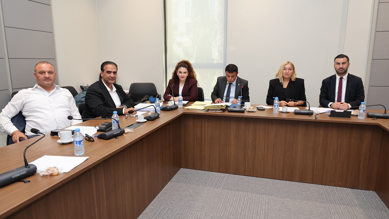 Hukuk, Siyasi İşler, Dışilişkiler ve Savunma Komitesi Yurttaşlık Değişiklik Yasa Tasarısı’nı onayladı