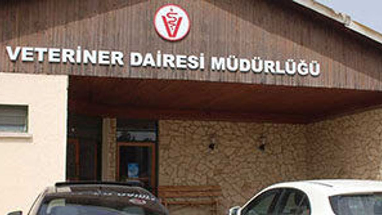 Veteriner Dairesi: “Gazimağusa Belediye Mezbahası’nda ciddi eksiklikler tespit edildi”