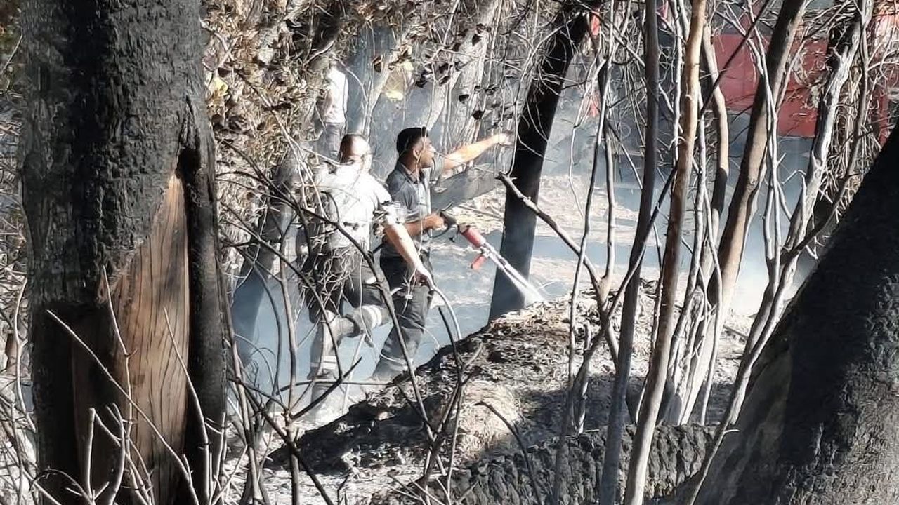 Ozanköy’de korkutan yangın
