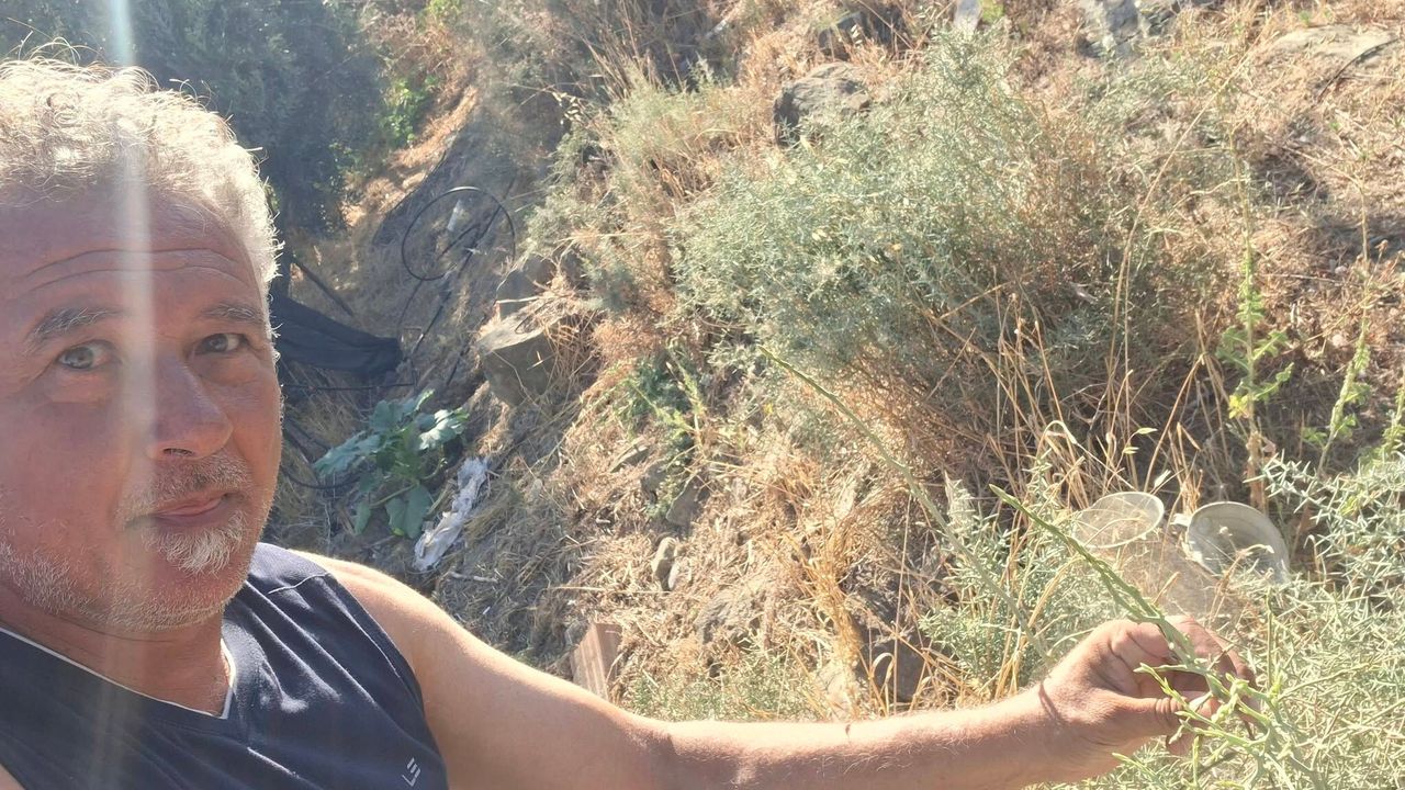Doğanın dengesi mi kaçtı?