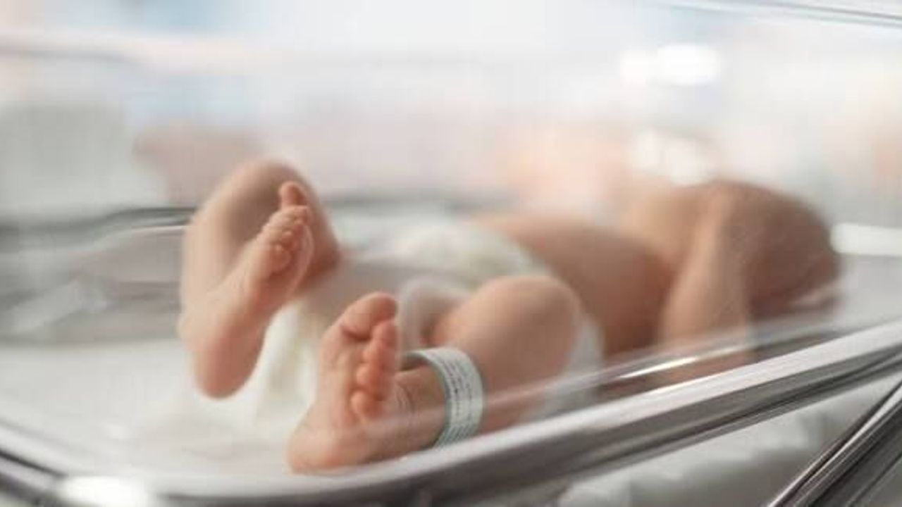 Rum Ortodoks Kilisesi Başpiskoposluğu’ndan doğurganlığı destekleme planı