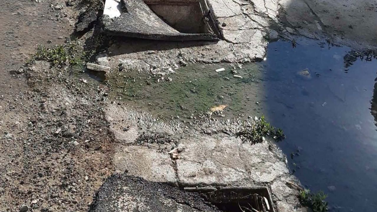 Salgın hastalığa davetiye