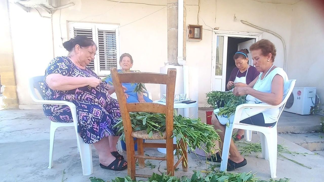 Şimdi Molehiya zamanı