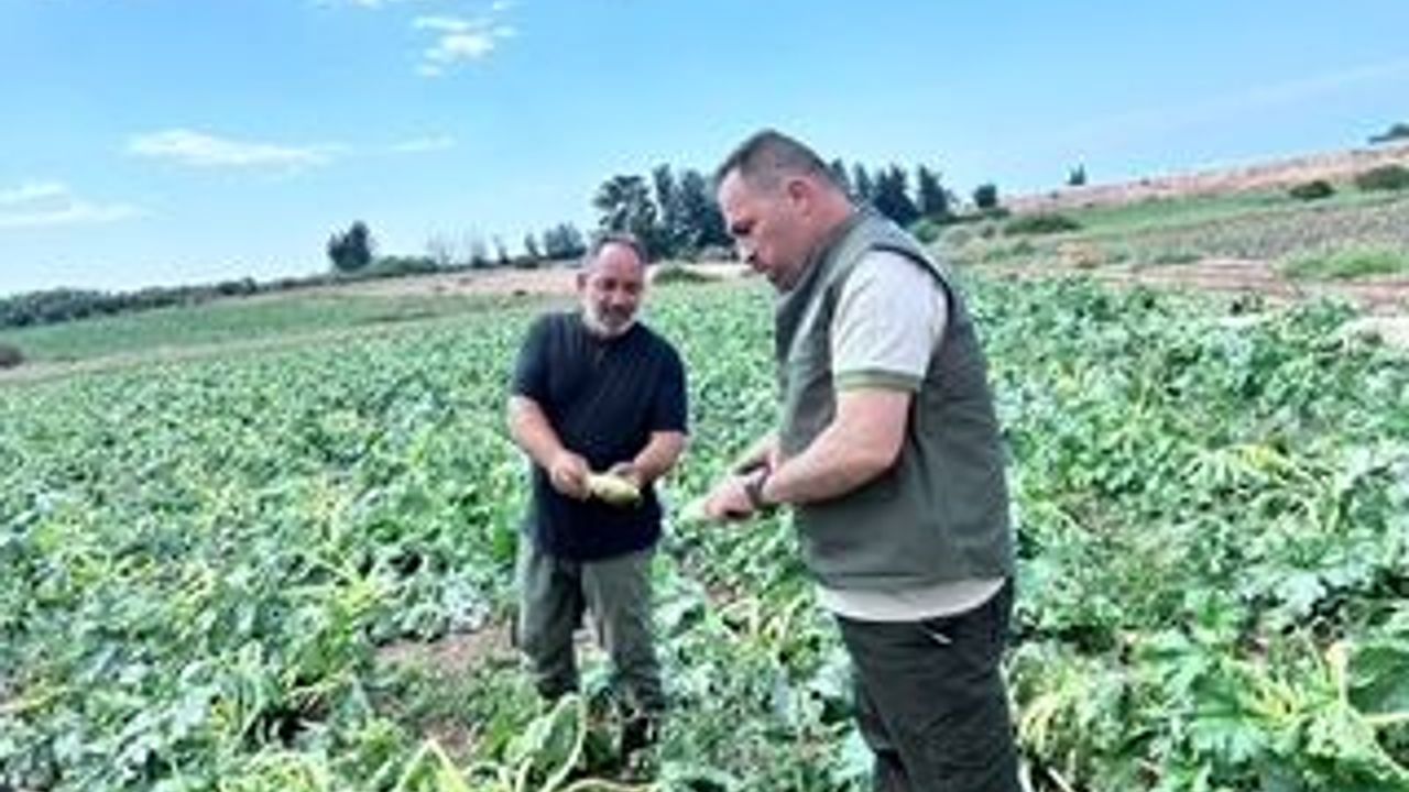 Çavuş, Güneşköy ve Aydınköy’de olumsuz hava koşullarının etkilerini inceledi