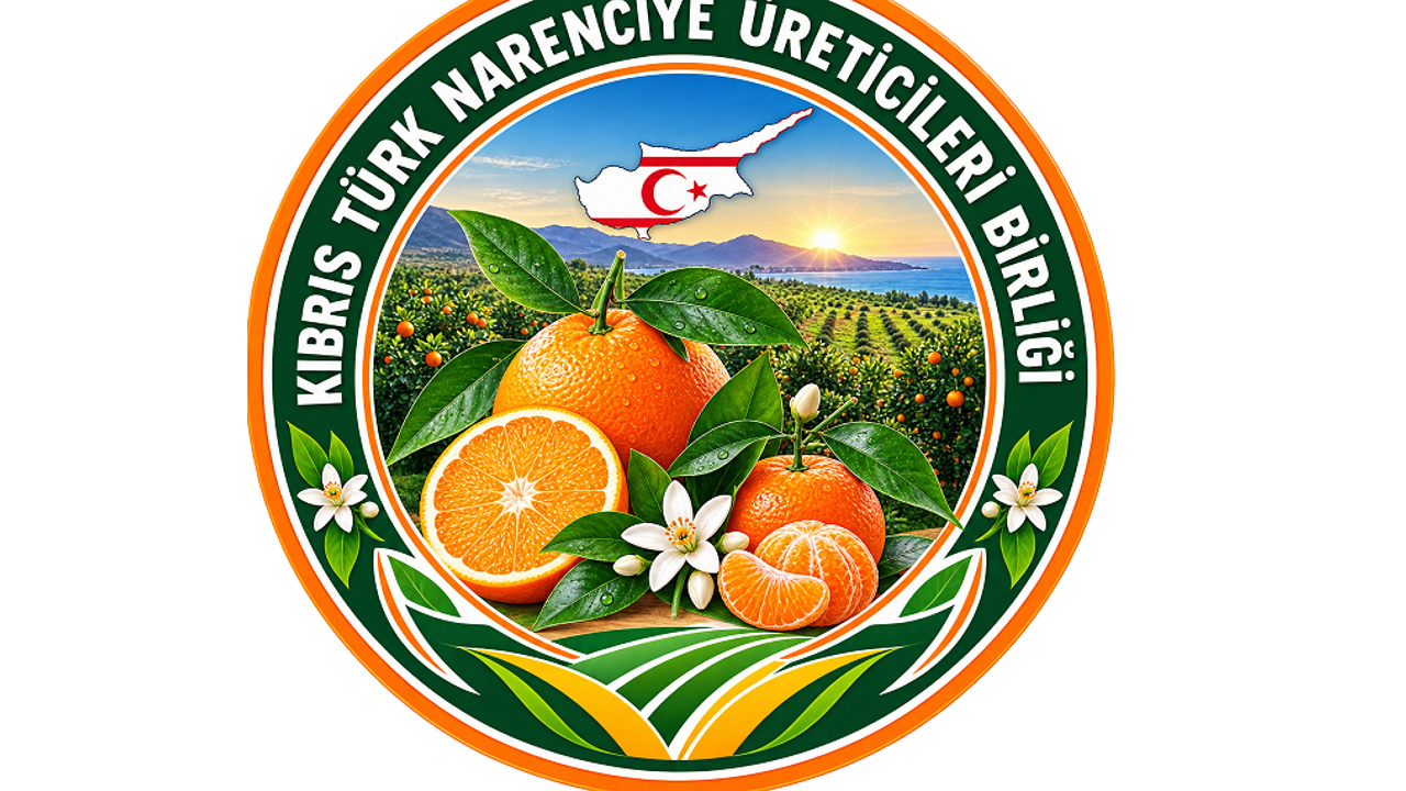K.T Narenciye Üreticileri Birliği: "Ödemelerle ilgili çok geç kalınmıştır."