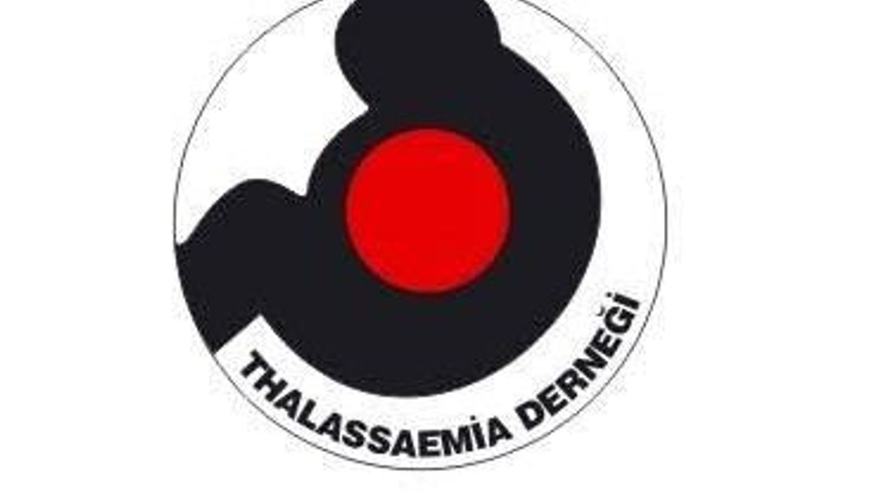 Kuzey Kıbrıs Thalassaemia Derneği yaz kampı düzenliyor
