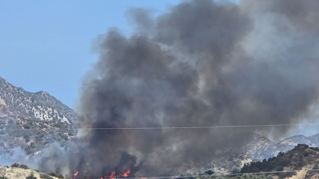 Yamaçköy-Tirmen arasında ormanlık alanda büyük yangın
