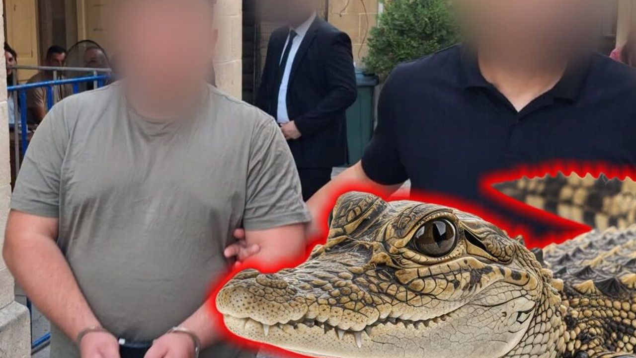 Villa baskınında sahte pasaport da çıktı